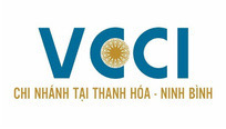VCCI